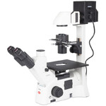 Motic Microscopio AE31E trino 100W, inv, CCIS Plan 4x, LWD Ph10x/20x40x