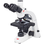Motic Microscópio BA210E trino, infinity, EC- plan, achro, 40x-400x, Hal,