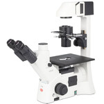 Microscope inversé Motic AE31E trino, infinity, 40x-400x, phase, Hal, 30W