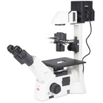 Motic Microscopio AE31E bino, infinity, 40x-400x, phase, Hal, 100W