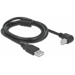 PegasusAstro USB-Kabelset 2x USB2.0 Type-B 1m