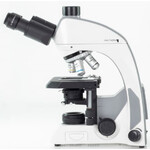 Motic Microscope Mikroskop Panthera C, trino, infinity, plan, achro, 40x-400x, Halogen