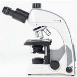 Motic Microscope Mikroskop Panthera C2, Trinokular (Ohne 100X), infinity, plan, achro, 40x-400x, Halogen/LED