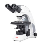 Motic Microscopio Panthera C, bino, infinity, plan, achro, 40x-1000x, Halogen
