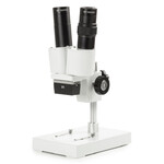 Novex Microscópio stéreo Binocular AP-1