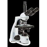 Euromex Mikroskop BS.1153-EPL, trino, 40x-1000x