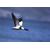 Jumelles Omegon Blackstar 10x25