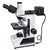 Bresser Microscopio Science ADL 601P, trino, 50x - 600x