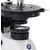 Euromex Microscopio BioBlue BB.4240-P, POL, mono, DIN, 40x-600x, 10x/18, HAL, 20W