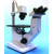 Hund Microscopio invertito Wilovert Standard PH40, bino, 100x - 400x