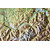 Georelief Landkarte Schweiz groß, 3D Reliefkarte