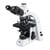 Motic Microscopio BA310, trino, infinity, phase, EC-plan, achro, 40x-1000x, LED 3W