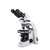 Motic Microscopio BA310 POL, binoculare