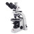 Motic Microscopio BA310 POL, trinoculare