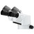 Euromex Stereomicroscopio DZ.1800, testata binoculare ergonomica, 8x-64x, LED