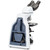 Euromex Microscopio iScope IS.1152-EPL, bino
