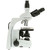 Euromex Microscopio iScope IS.1153-PLPH, PH, trino, DIN, plan, 100x-1000x, LED, 3W