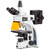 Euromex Microscopio iScope, IS.3153-PLi/3, trino