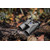 ZEISS Binocolo Terra ED Compact 8x32 black/grey