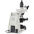 Euromex Microscopio DX.1158-PLi, trino, infinity, 10x/25,  plan, 40x - 1000x,  LED, 3W