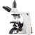 Euromex Microscopio DX.1153-PLPHi, phase, trino, infinity, 40x - 1000x