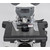 Motic Microscopio BA410 Elite, bino, Hal, 50W, 40x-1000x