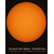 Explore Scientific Filtri solari Sun Catcher filtro solare per telescopi 60-80 mm