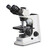 Kern Microscopio OBL 145, bino, PH, WF10x/20, Inf, E-Plan, 40x-1000x, HAL 20W