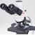Motic Microscopio BA210E bino, infinity, EC- plan, achro, 40x-1000x Hal