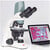 Motic Microscopio BA210 Digital, 3MP, 1/2", USB2, infinity, EC- plan, achro, 40x-1000x, LED