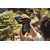 Swarovski Binocolo CL Pocket 10X25 Green Wild Nature