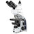 Euromex Microscopio Mikroskop iScope IS.1159-PLPHi, Bino + Phototubus, infinity, Plan Phase IOS 100x-1000x, 10x/22 DL, Köhler LED