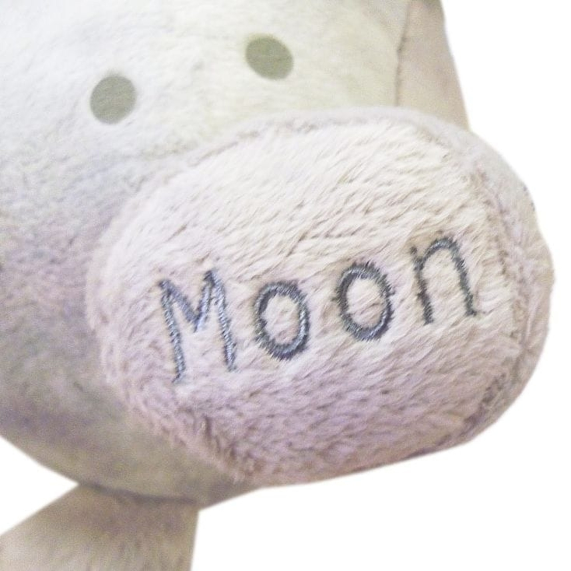 celestial buddies moon