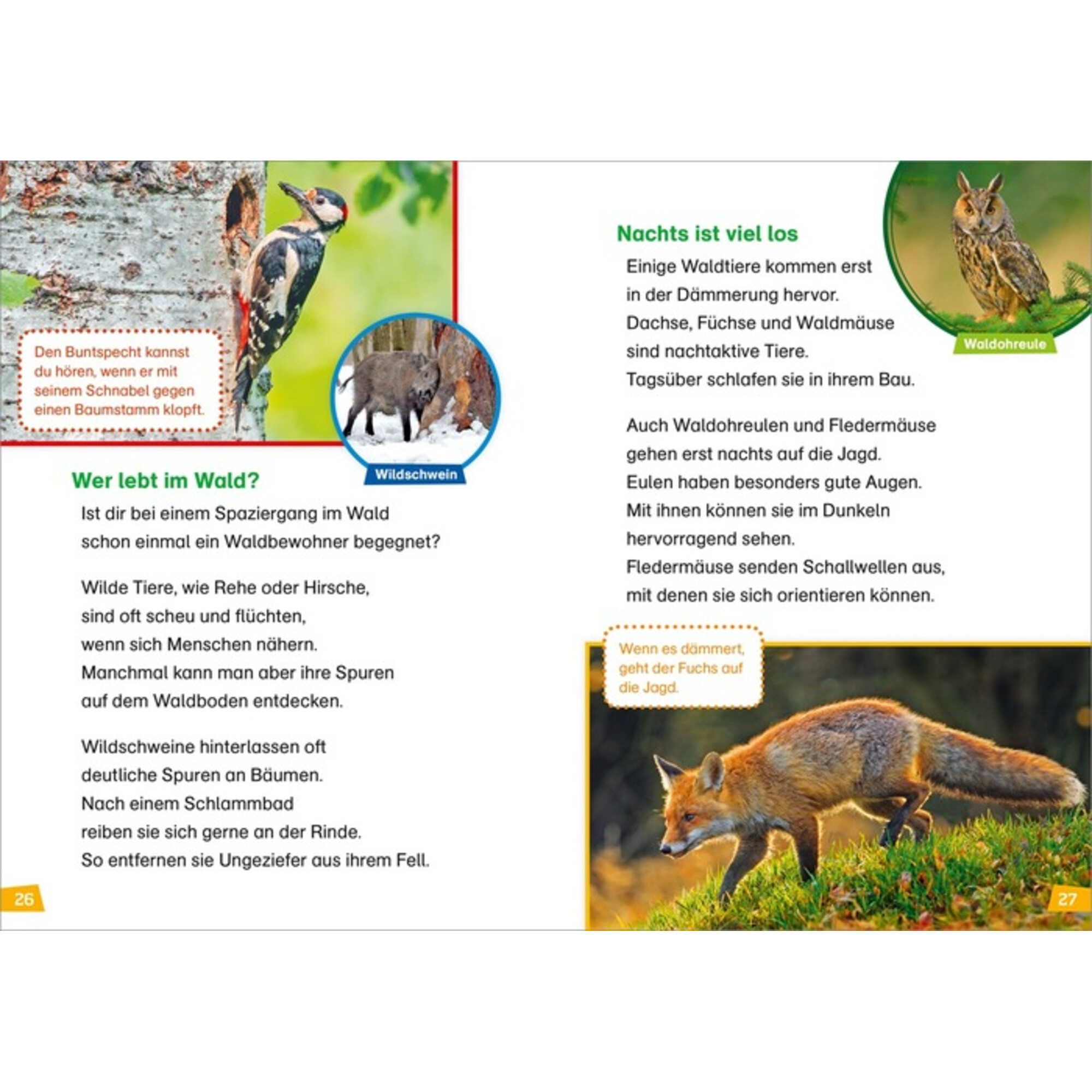 was ist was erstes lesen