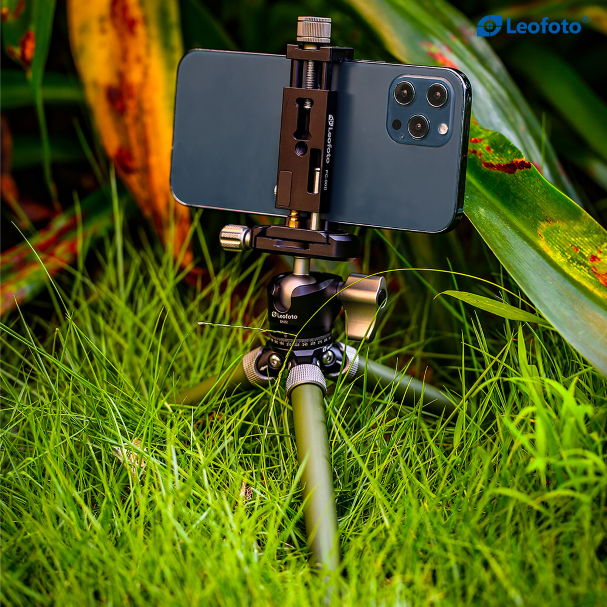 Leofoto Tabletop tripod MT02C+LH22 Olive