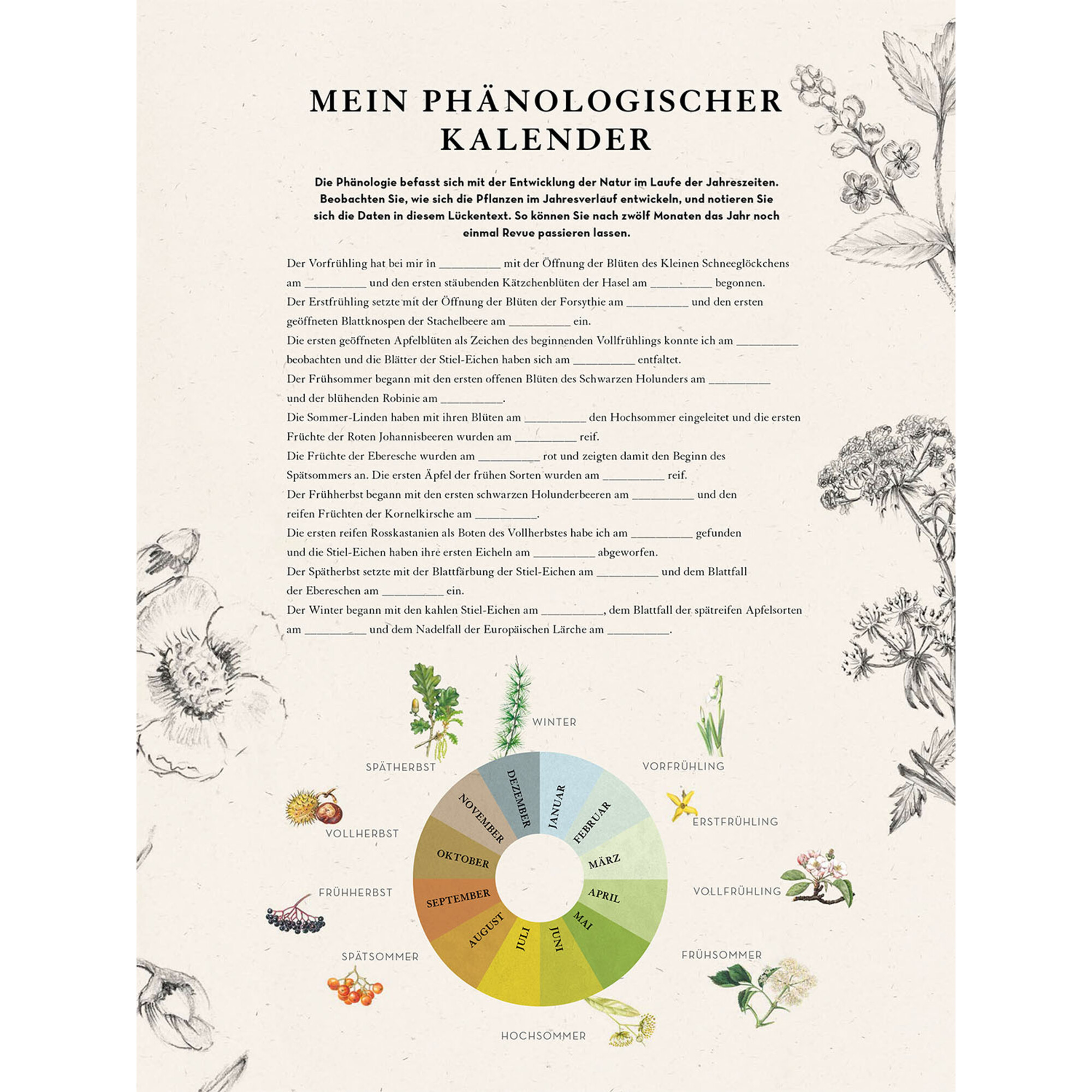 Kosmos Verlag Was blüht denn da? Kalender 2023
