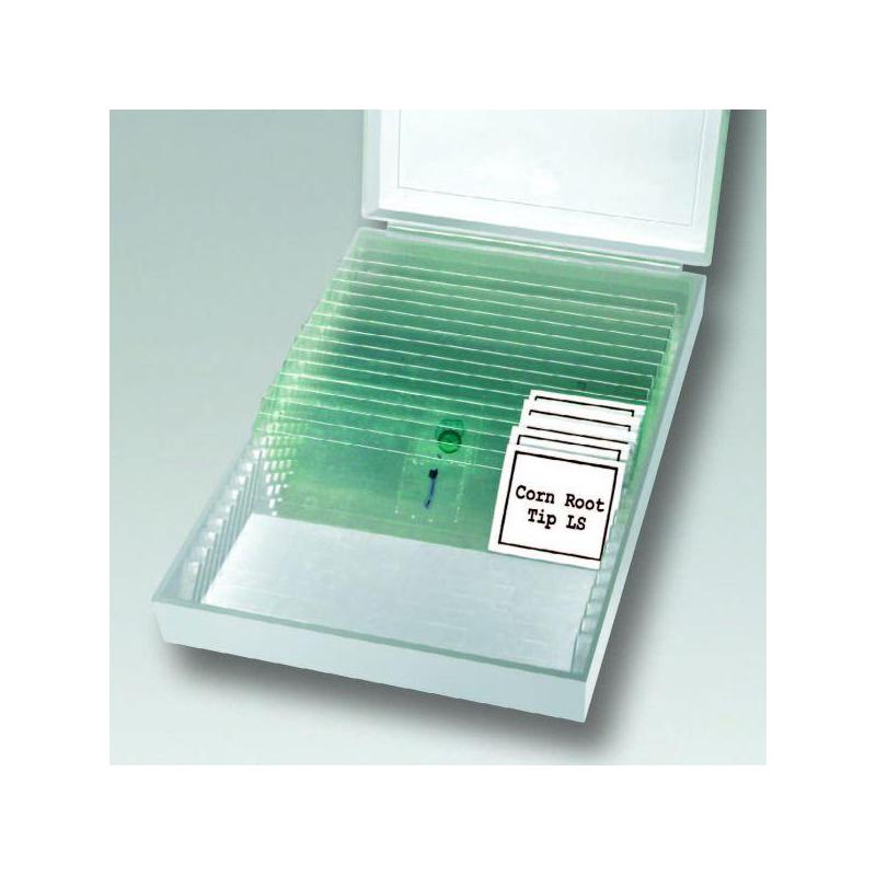 Bresser Microscope digital LCD, 5MP