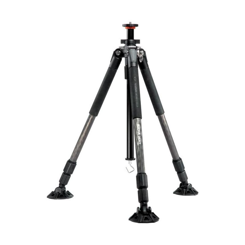 Auctus177
