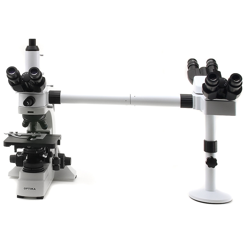 Optika B-500Ti-3, 3-head Discussion Microscope, Trinocular, 1000x, LED