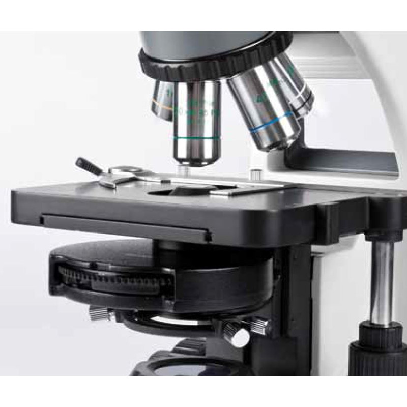 Motic Microscopio BA310E trino, infinity, EC-plan, achro, 40x - 400x, Hal. 30W