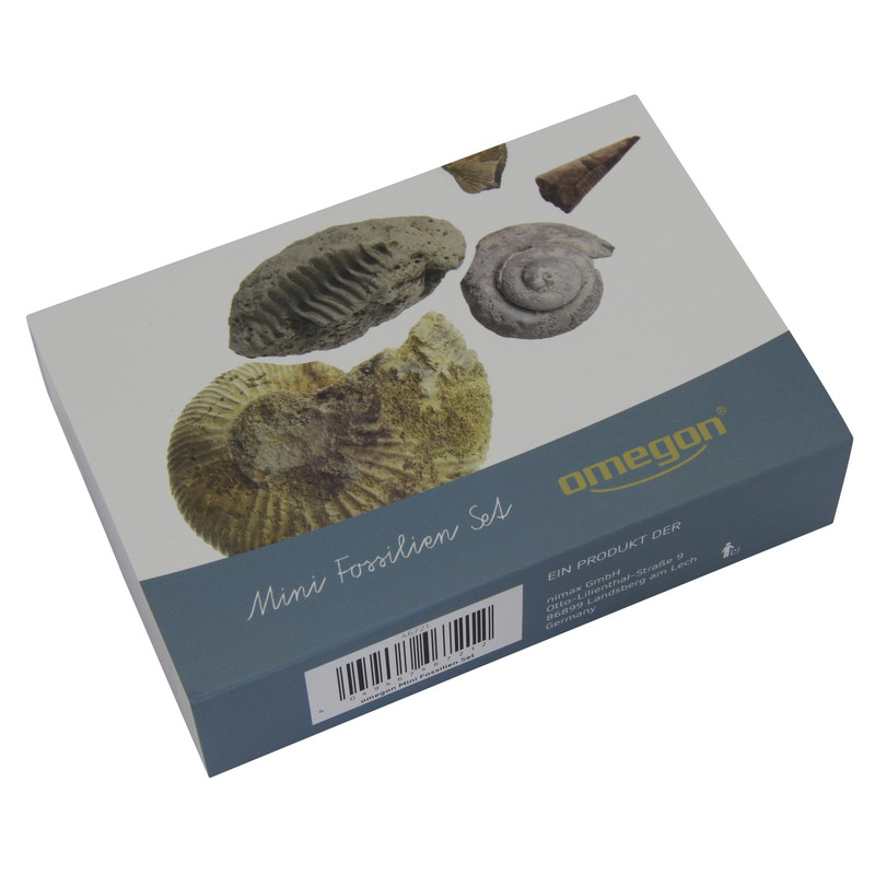 Omegon Mini Kit de fósseis