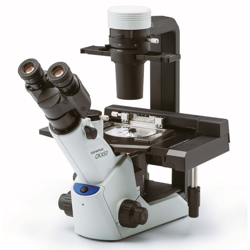 Olympus CKX53 trinocular microscope, 100X, 200X, 400X, IPC / IVC x/y stage