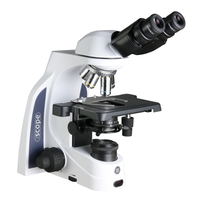 Euromex Microscopio iScope IS.1152-PLi, bino