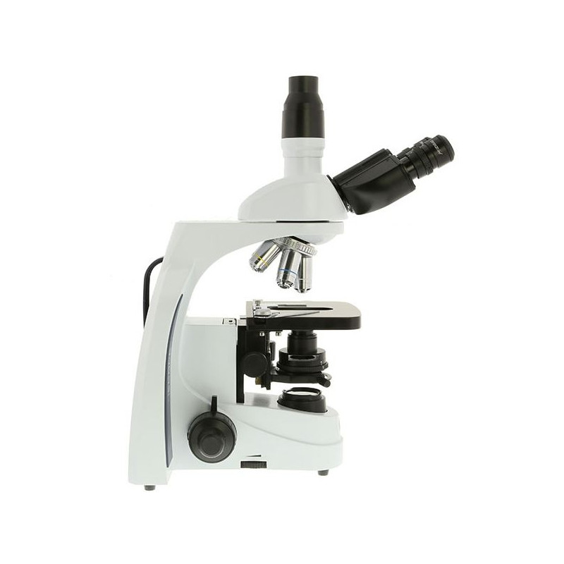 Euromex Microscopio iScope IS.1153-PLPHi, trino