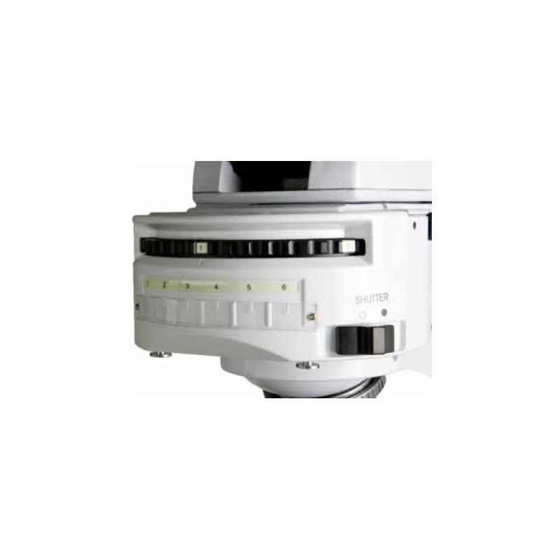 Euromex Microscopio iScope, IS.3153-PLi/6, trino