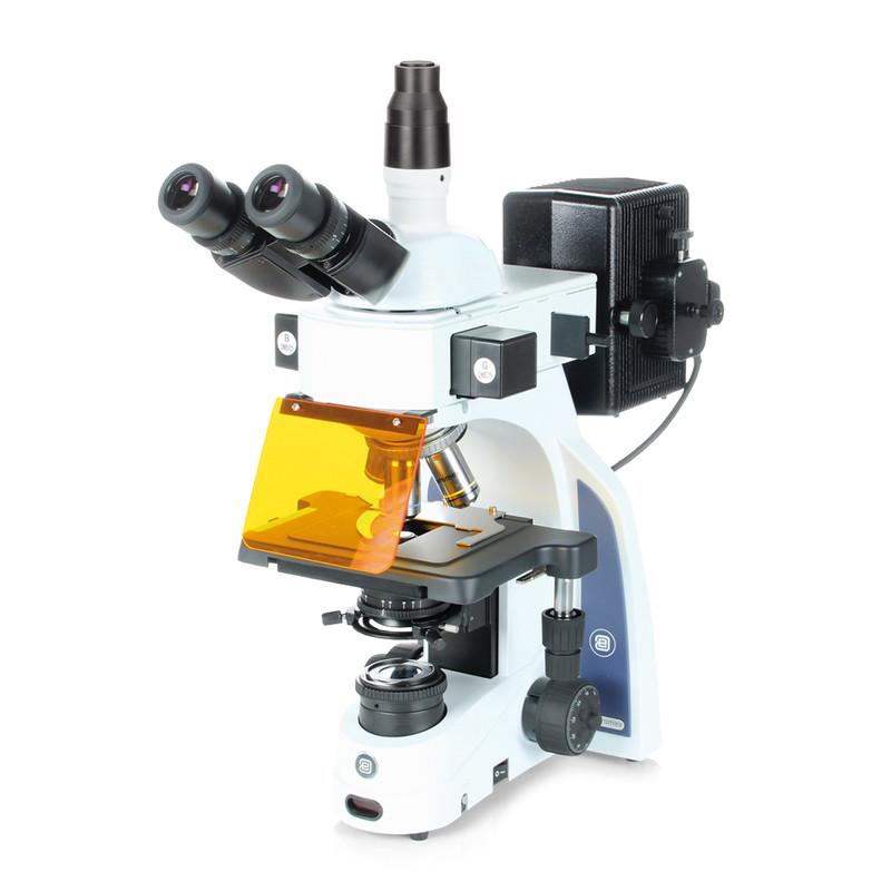 Euromex Microscope iScope, IS.3153EPLi/3, trino