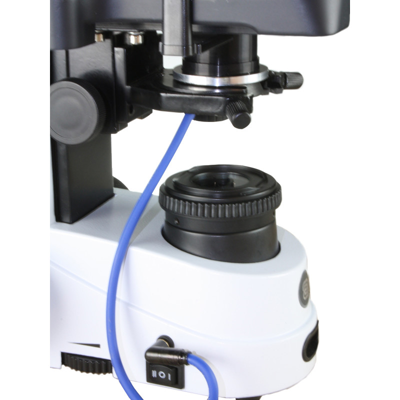 Euromex Microscopio iScope IS.1153-PLi/DFI, DF, trino, infinity, plan, 4x-100x, 100x iris, IOS super contrast oil, spring, LED, 3W