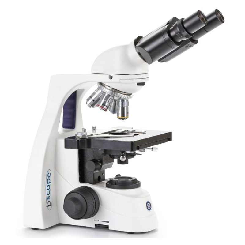 Euromex Microscopio BS.1152-EPL, bino, 40x-1000x