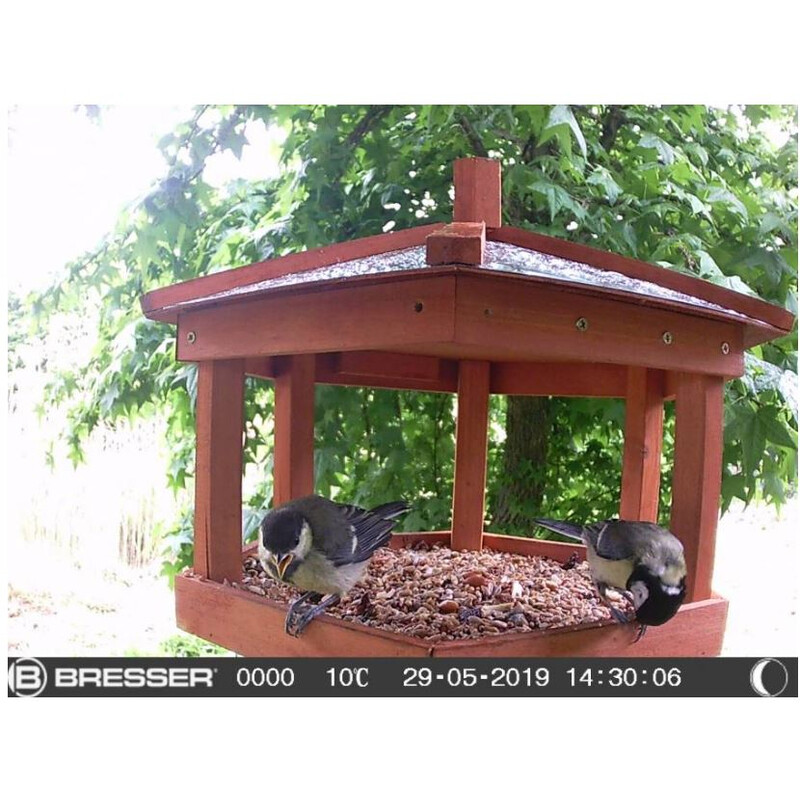 Bresser Wildlife camera SFC-1 for small animals and birds