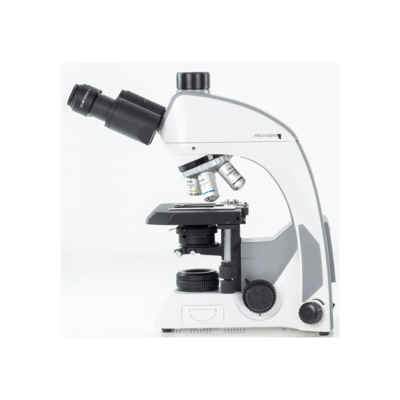 Motic Microscope Mikroskop Panthera C2, Trinokular (Ohne 100X), infinity, plan, achro, 40x-400x, Halogen/LED